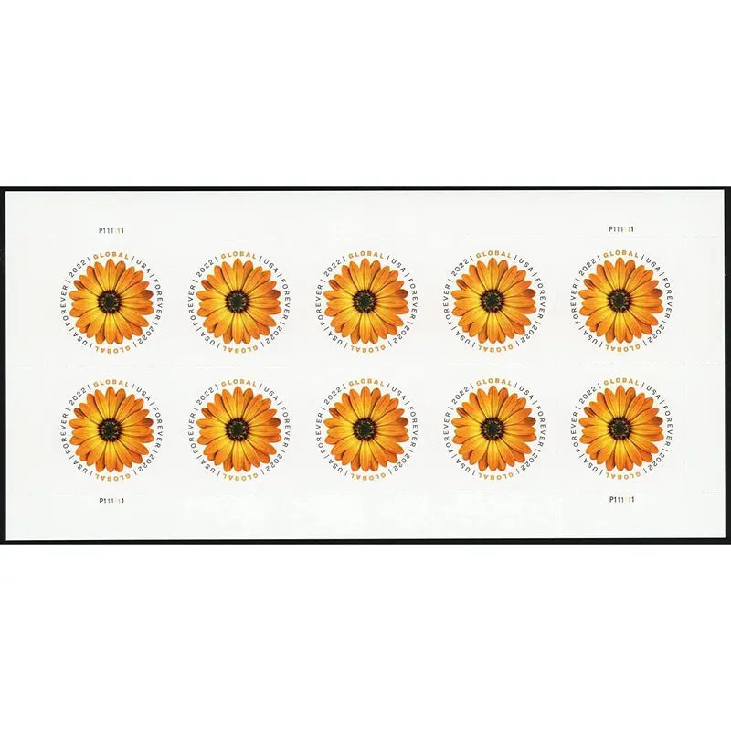 Shipping Labels Stickers 2022 10 Sheets 100 Count African Daisy and Lizard Meme Design for Water Bottles and Micro Scene Decor White Folded Card and Envelope Set tag Witch Door Banner Dark Romance Reader Skeletal Dachshund Birthday Themed Greeting with